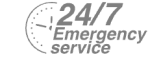 24/7 Emergency Service Pest Control in Bromley-by-Bow, Bow, E3. Call Now! 020 8166 9746