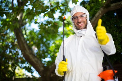 Pest Control in Bromley-by-Bow, Bow, E3. Call Now 020 8166 9746
