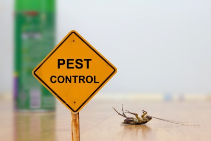 Pest Contol in Bromley-by-Bow, Bow, E3. Call Now 020 8166 9746