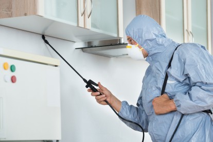 Home Pest Control, Pest Control in Bromley-by-Bow, Bow, E3. Call Now 020 8166 9746